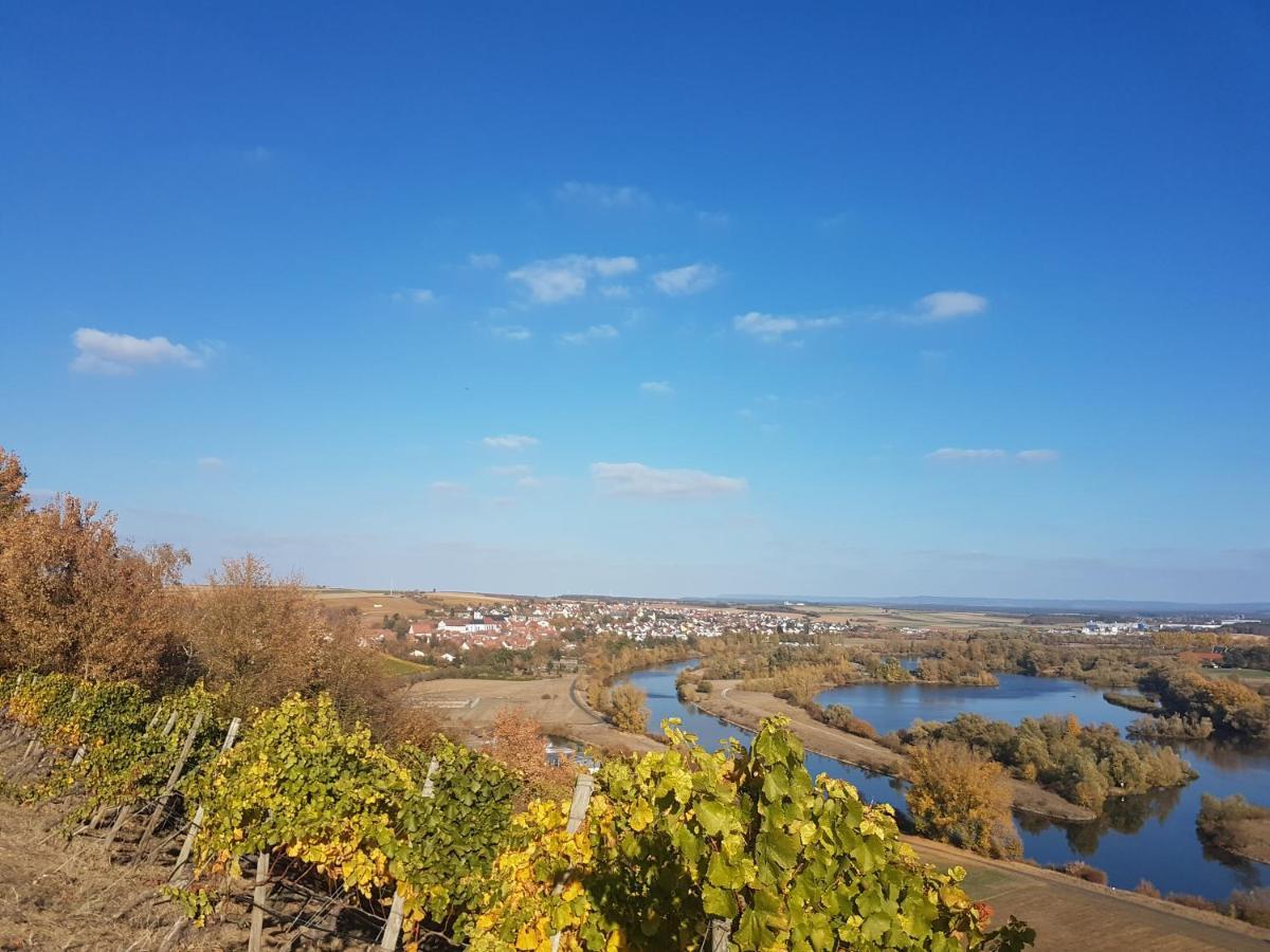 Aparthotel Alte Schmiede Dettelbach Zewnętrze zdjęcie